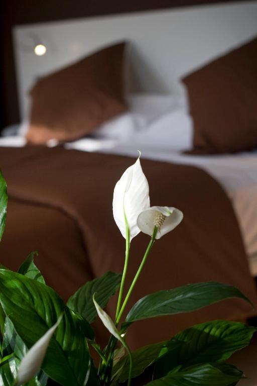 Hotel La Sequia Molinar Campdevanol Bagian luar foto